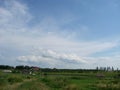 Background photography of bright lush grass field under blue sunny sky Royalty Free Stock Photo