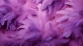 Background with photorealistic violet feathers