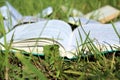 Opened book on green grass in the garden Royalty Free Stock Photo