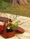 Background Picture of Ikebana