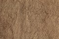 Background picture of a soft fur beige carpet. Wool sheep fleece closeup texture background. Top view Royalty Free Stock Photo