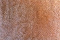 Background picture of a soft fur beige carpet. Wool sheep fleece closeup texture background. Top view Royalty Free Stock Photo