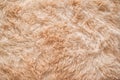 Background picture of a soft fur beige carpet. wool sheep fleece texture background. top view Royalty Free Stock Photo