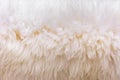 Background picture of a soft fur white carpet. wool sheep fleece closeup texture background,Fake color beige fur fabric. top view Royalty Free Stock Photo