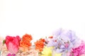 Background picture of various kind of flowers