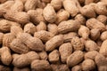 Background pictures of many peanuts Royalty Free Stock Photo