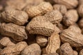 Background pictures of many peanuts Royalty Free Stock Photo