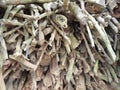 background of pile of dry wood branches