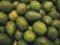 Background of Pile of Fresh Green Avocado Fruits Royalty Free Stock Photo