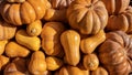 Background of pile of pumpkins on the market Royalty Free Stock Photo