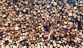 Background of a pile of wood logs stacked to be used in restaurant ovens Royalty Free Stock Photo