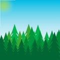 Background of pine forest, nature, landscape blue sky and sun. Abstract silhouettes of green forest trees, natural landscape with Royalty Free Stock Photo