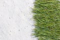 Background of pine needles on the sand Royalty Free Stock Photo
