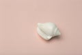 Background  pink color with seashells. Sea and ocean background with white shell. Copy space Royalty Free Stock Photo