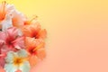 background with pink and orange hibiscus flowers