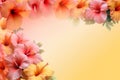 background with pink and orange hibiscus flowers