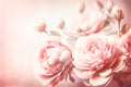 background pink roses soft light close-up. Generative AI