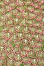 Background of pink transparent plastic hearts on green glittering backdrop Royalty Free Stock Photo
