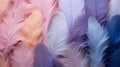 background of pink and violet feathers.