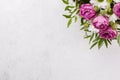 Background with pink and white flowers. Flat lay. Royalty Free Stock Photo