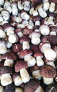 Background placer from a crop of medium-sized porcini mushrooms