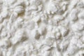 Background of plain chunky cottage cheese.