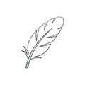 The background is plain white emphasizing the feather s outline Royalty Free Stock Photo
