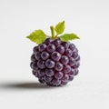 The background is plain white, emphasizing the fruit s details Royalty Free Stock Photo