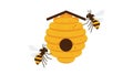 Background is plain white emphasizing the hive and bees as the Royalty Free Stock Photo