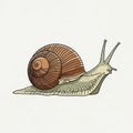 Background is plain white, emphasizing the snail s detailed featu Royalty Free Stock Photo