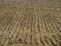 Background of a ploughed (plowed) field Royalty Free Stock Photo