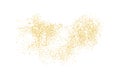 Background plume golden texture crumbs. Gold dust scattering on a white background. Sand particles grain or sand assembled. Vector