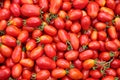 Background of the plurality of red tomatoes Royalty Free Stock Photo