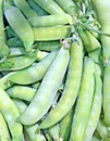 The background of the pods of green peas Royalty Free Stock Photo