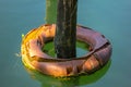 background. pole emerging from the water with a life preserver surrounding it used to dock with boats on the Sile river