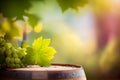 Background for product promotion with wine barrel top and white grape branch Royalty Free Stock Photo