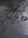 Background puddle rain. Circles and drops in a puddle