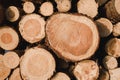 Background of pulpwood texture. Close-up Royalty Free Stock Photo