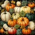 Background of pumpkins of different colors and shapes. Thanksgiving and Harvest Festival