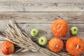 Background with pumpkins, green apples and ears of wheat on the