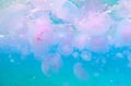 Background of purple jellyfishes in blue sea water Royalty Free Stock Photo