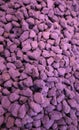 Background of purple rocks Royalty Free Stock Photo