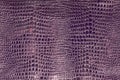 Lilac faux python skin snakes, crocodile, trend, fashion, background