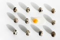 Background of quail eggs on white, one broken, with yellow yolk. Easter concept Royalty Free Stock Photo