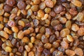 Background of raisins