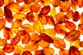 Background of raisins in sale in the shop of dried fruit Royalty Free Stock Photo