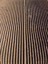 Background of raked white sand. Texture perspective of beach sand cleaned with rake. Maintenance of beaches and coastline Royalty Free Stock Photo