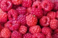 background of raspberry and little bug Royalty Free Stock Photo
