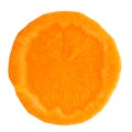 Background of raw orange carrot raw, macro Royalty Free Stock Photo