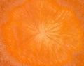 Background of raw orange carrot raw, macro Royalty Free Stock Photo